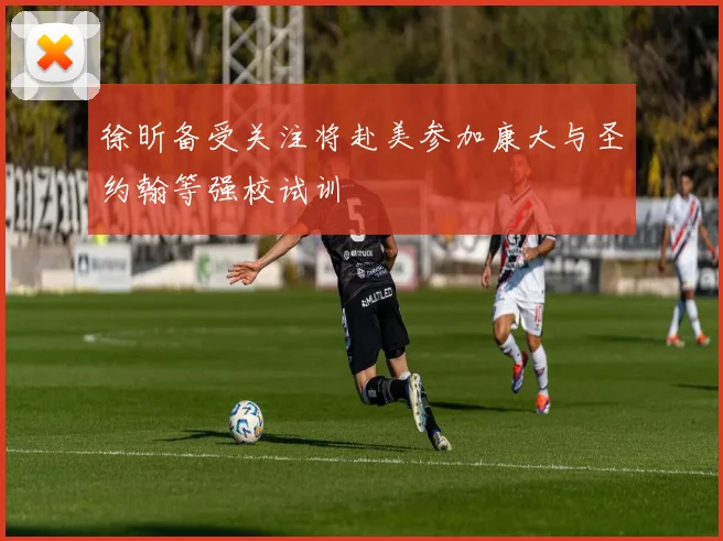 徐昕备受关注将赴美参加康大与圣约翰等强校试训